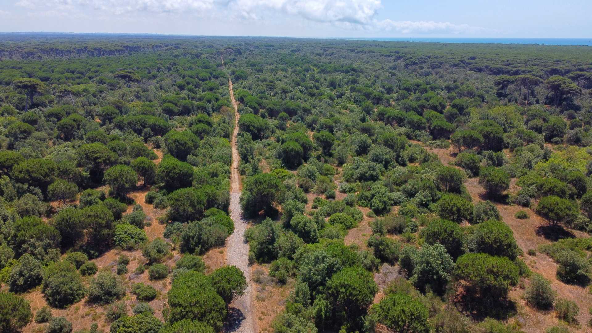 La Via Severiana a Ostia